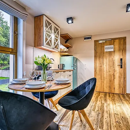 Zloty Horyzont Vip Z Basenem, Silownia, Grota Solna, Bawialnia I Restauracja By Royal Aparts